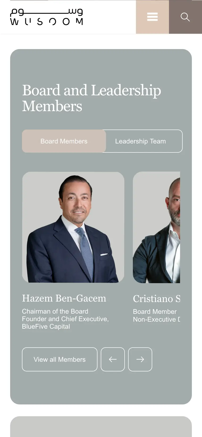 Wusoom Responsive View